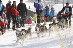 Lenk 2012 SM